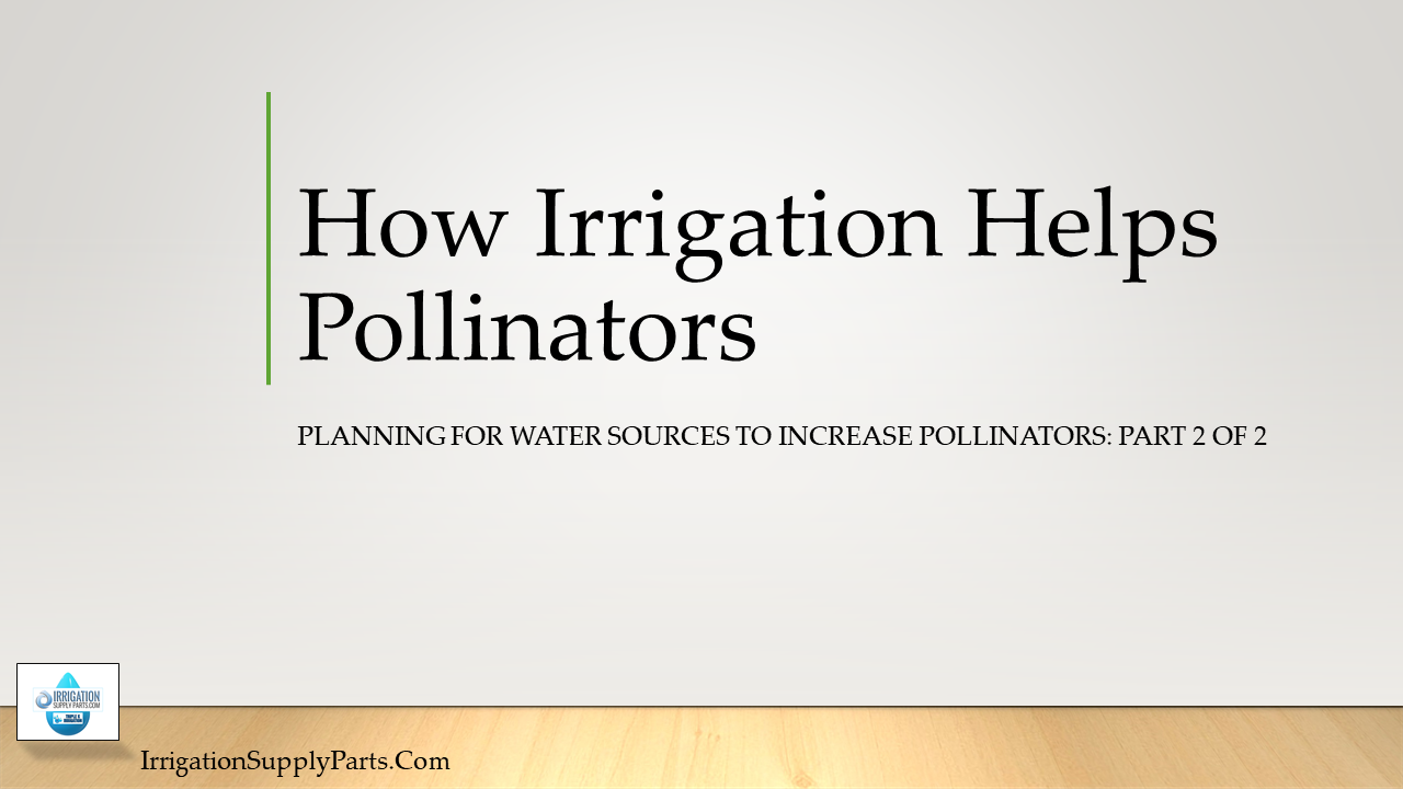 How Irrigation Helps Pollinators: Planning For Water Sources To Increase Pollinators Part 2 of 2