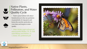 How Irrigation Helps Pollinators: Planning For water sources to increase pollinators: Part 1 of 2