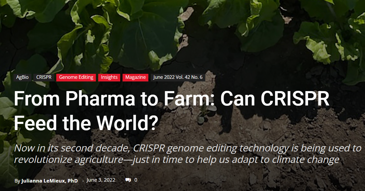 Can CRISPR Feed the World?