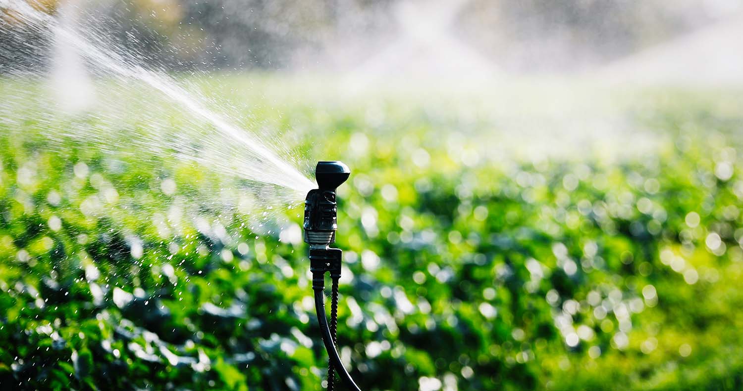 Irrigation Watering