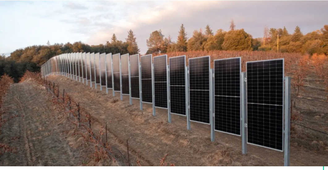 Vertical Solar Panels for Farming