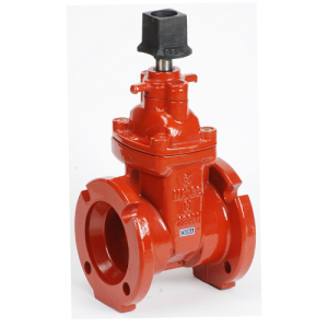 Cast Iron Flanged Gate Valve with Op Nut