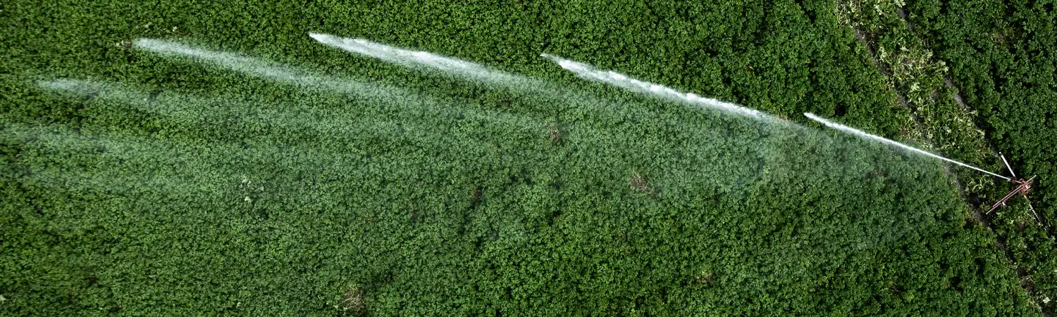 bkgnd-title-irrigated-field2 | IrrigationSupplyParts.com -- Irrigation Fittings, Camlock, Ringlock, Drip Irrigation, Valves, Gauges