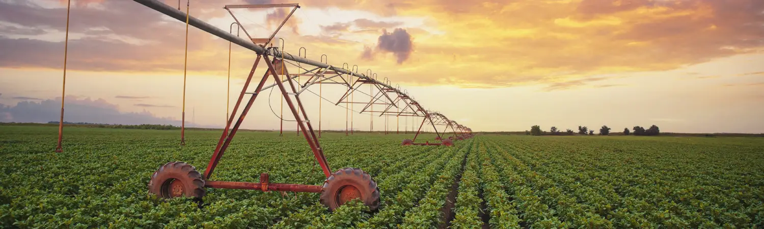 bkgnd-title-irrigated-field5 | IrrigationSupplyParts.com -- Irrigation Fittings, Camlock, Ringlock, Drip Irrigation, Valves, Gauges