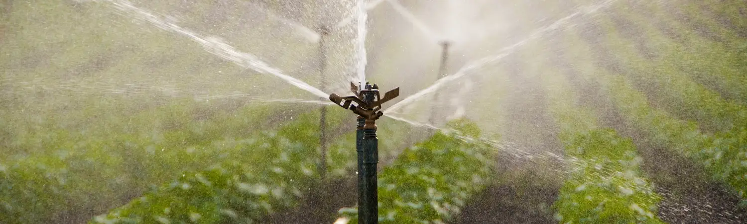 bkgnd-title-sprinkler1 | IrrigationSupplyParts.com -- Irrigation Fittings, Camlock, Ringlock, Drip Irrigation, Valves, Gauges