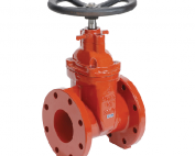 Cast Iron Flanged Gate Valve with Hand Wheel, 200WW, Gate Valve, Flanged Gate Valve,