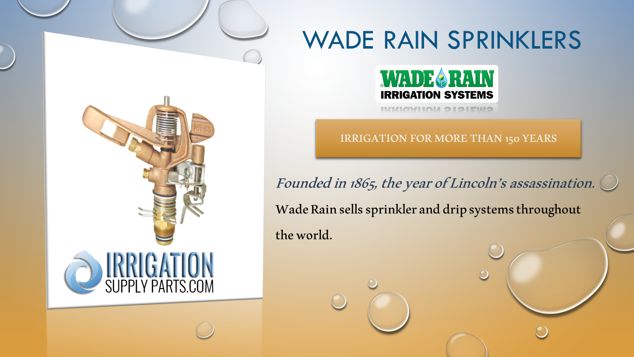 Wade Rain History